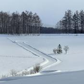 Podcast 人生架構師