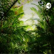 Podcast Reuben