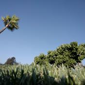 Podcast [RSSCOM] Il primo di Aprile