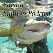 Podcast Saving Salmon Podcast