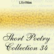 Podcast Short Poetry Collection 034 by Various