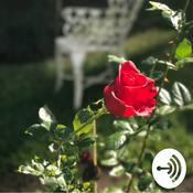 Podcast Slow Dance Sundays with R&B