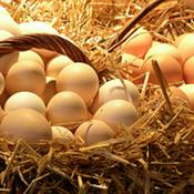 Podcast Split personality