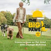 Podcast The Big Paws Podcast
