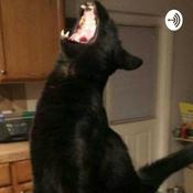 Podcast The Discussion Room