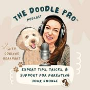 Podcast The Doodle Pro® Podcast: Positive Training Tips for a Calm & Well-Behaved Doodle