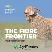 Podcast The Fibre Frontier