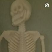 Podcast The Random Show