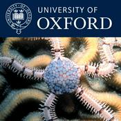 Podcast The Hinshelwood Lectures: Bioinspired Materials