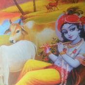 Podcast The Incredible Activities Of Krishna