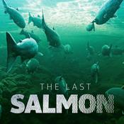 Podcast The Last Salmon