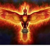 Podcast The Phoenix's Music and Movie Reviews