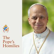 Podcast Pope's Homilies - English Version of the Pope’s Sermons and Speeches