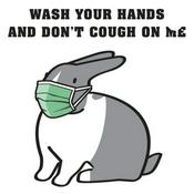 Podcast The Rise of COVID-19 and Results