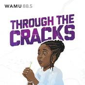 Podcast Through The Cracks