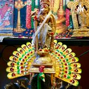 Podcast திருப்புகழ் (Thiruppugazh)