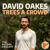 Trees A Crowd