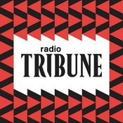 Podcast Tribune Radio