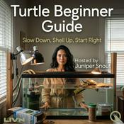 Podcast Turtle Beginner Guide