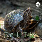 Podcast Turtle Talks