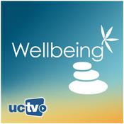 Podcast Wellbeing (Audio)