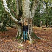 Podcast Uncivil Savant Podcast