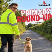 Podcast Anseo.net Primary Round-Up with Simon Lewis