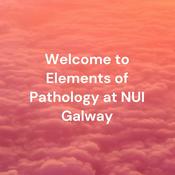 Podcast Welcome to Elements of Pathology at NUI Galway - Class Podcasts