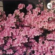 Podcast whatever i want