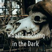Podcast What's Looking in the Dark