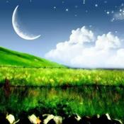 Podcast 助眠催眠｜雨声｜大自然