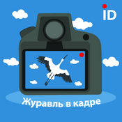 Podcast Журавль в кадре