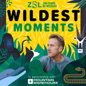 Podcast ZSL's Wildest Moments