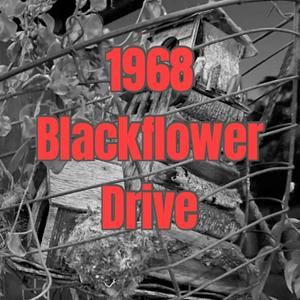 Listen to 1968 Blackflower Drive in the App