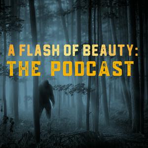 Listen to A Flash of Beauty: The Podcast in the App