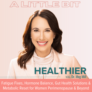 A Little Bit Healthier | Hormone Balance, Brain Fog, Weight Loss Resistance, Inflammation, Exhaustion, Histamine