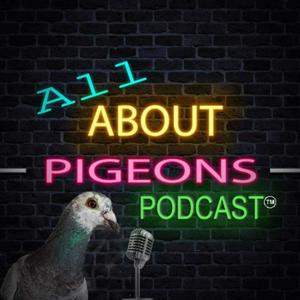 All About Pigeons