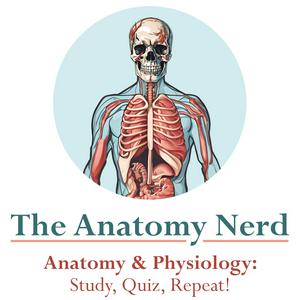 The Anatomy Nerd