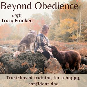 Listen to Beyond Obedience | Dog Training, Dog Behaviour Training, Scared Dogs, Reactive Dogs in the App