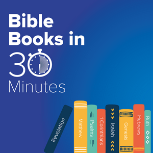 Listen to Bible Books in 30 Minutes in the App