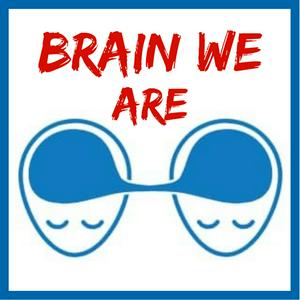 Brain We Are CZ