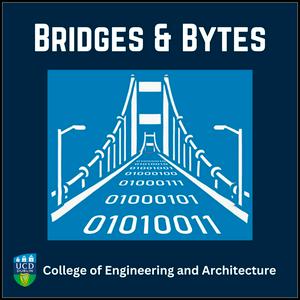 Bridges and Bytes