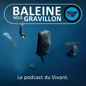 Listen to Baleine sous Gravillon in the App