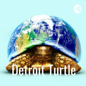 Detroit Turtle