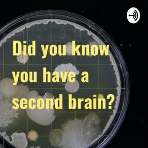 Did you know you have a second brain?