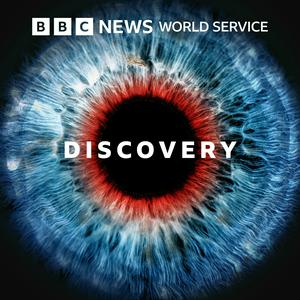 Listen to Discovery in the App