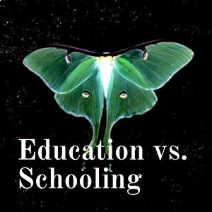 Listen to Education vs. Schooling in the App