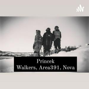 Introducing Princek