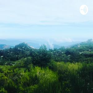 Rewilding Our Planet
