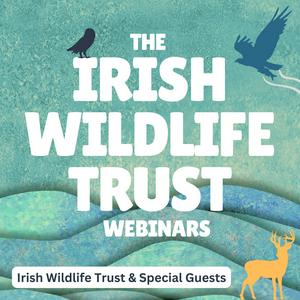 Listen to Irish Wildlife Trust in the App